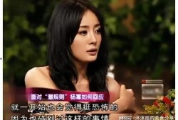 娱乐圈明星的各种爆料,明星背后的秘密与真相大揭秘