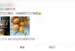 梨元在线观看,揭秘热门剧集背后的精彩故事