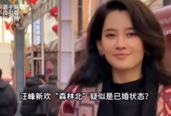 爆料网红离婚事件视频播放,视频播放量惊人，背后真相引人关注