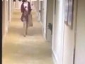 女子当场爆料秘密视频,真相令人震惊！