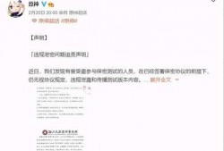mhy最新爆料,揭秘游戏世界背后的神秘故事